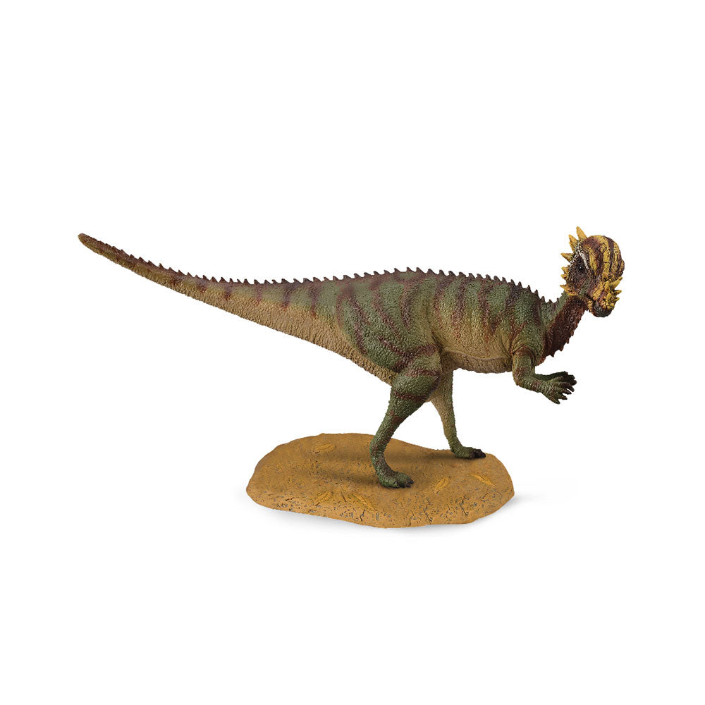 CollectA Pachycephalosaurus Dinosaur Figure (Medium)