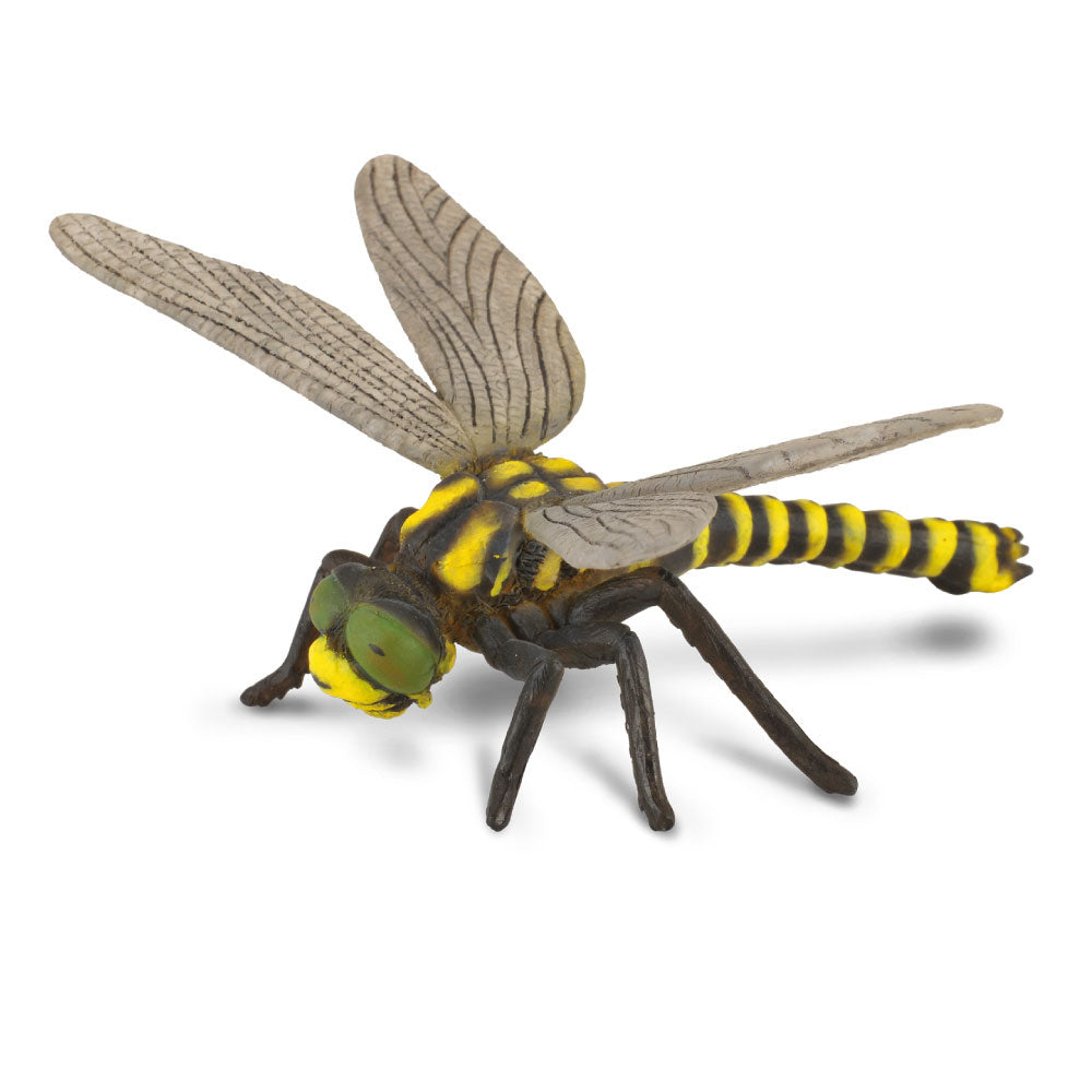 CollectA Golden Ringed Dragonfly Figure (Large)