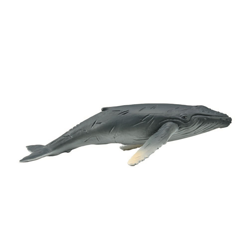 CollectA Humpback Whale Calf Figure (Medium)