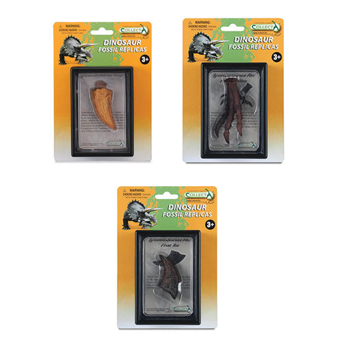 CollectA T Rex Parts in Display Case