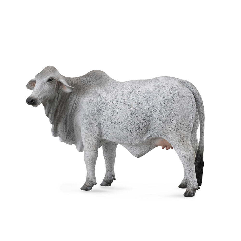 CollectA Brahman Cow Figure (Large)