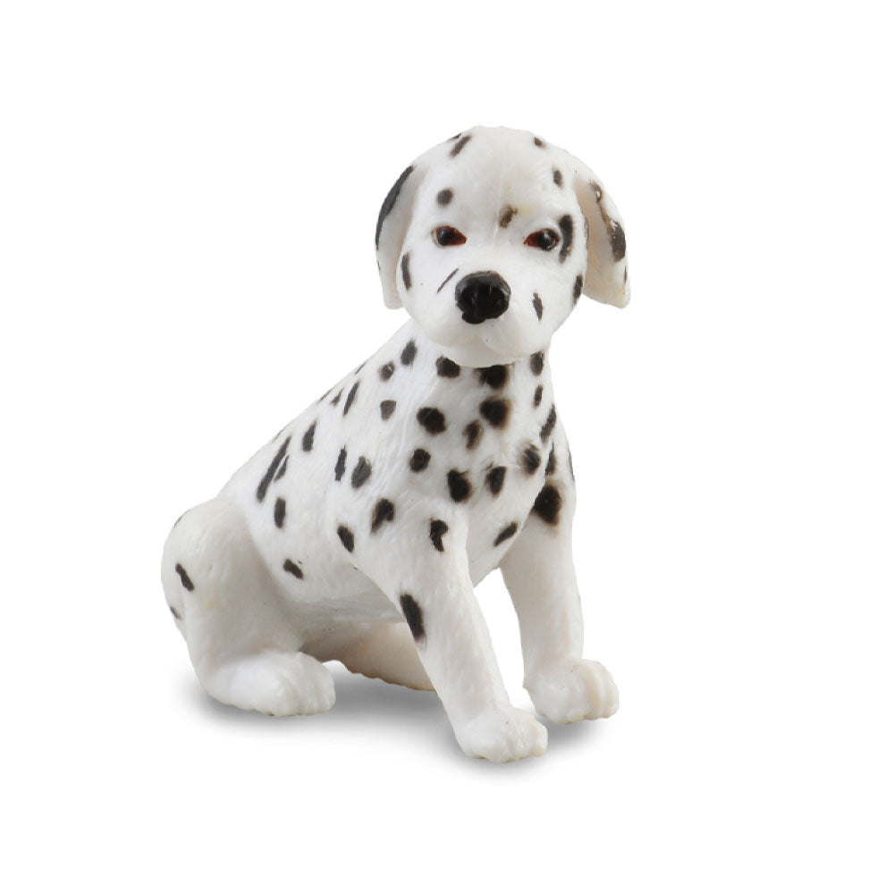 CollectA Dalmatian Puppy Figure (Small)