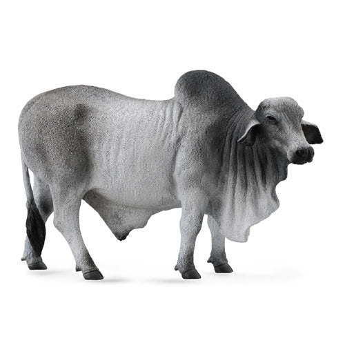 CollectA Brahman Bull Figure (Large)