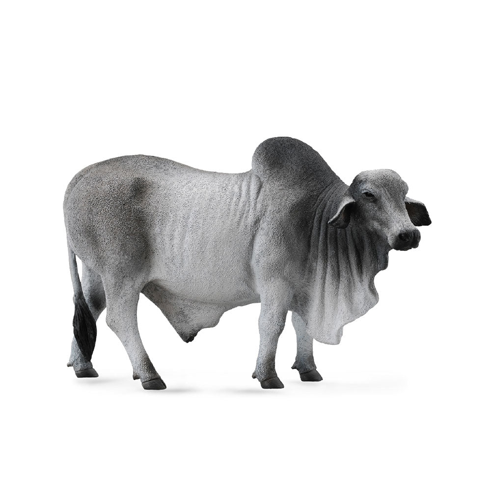 CollectA Brahman-Stier-Figur (groß)