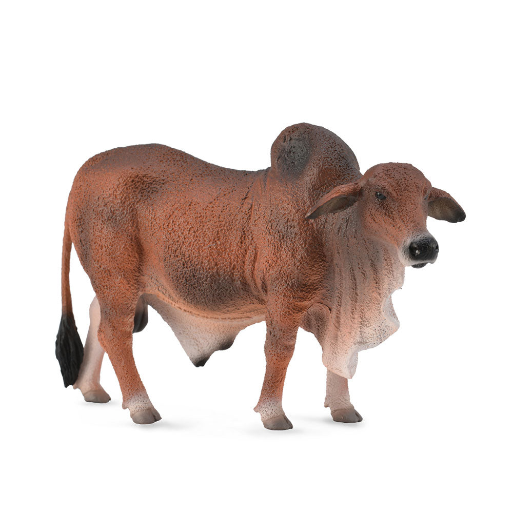 CollectA Brahman Bull Figure (Large)