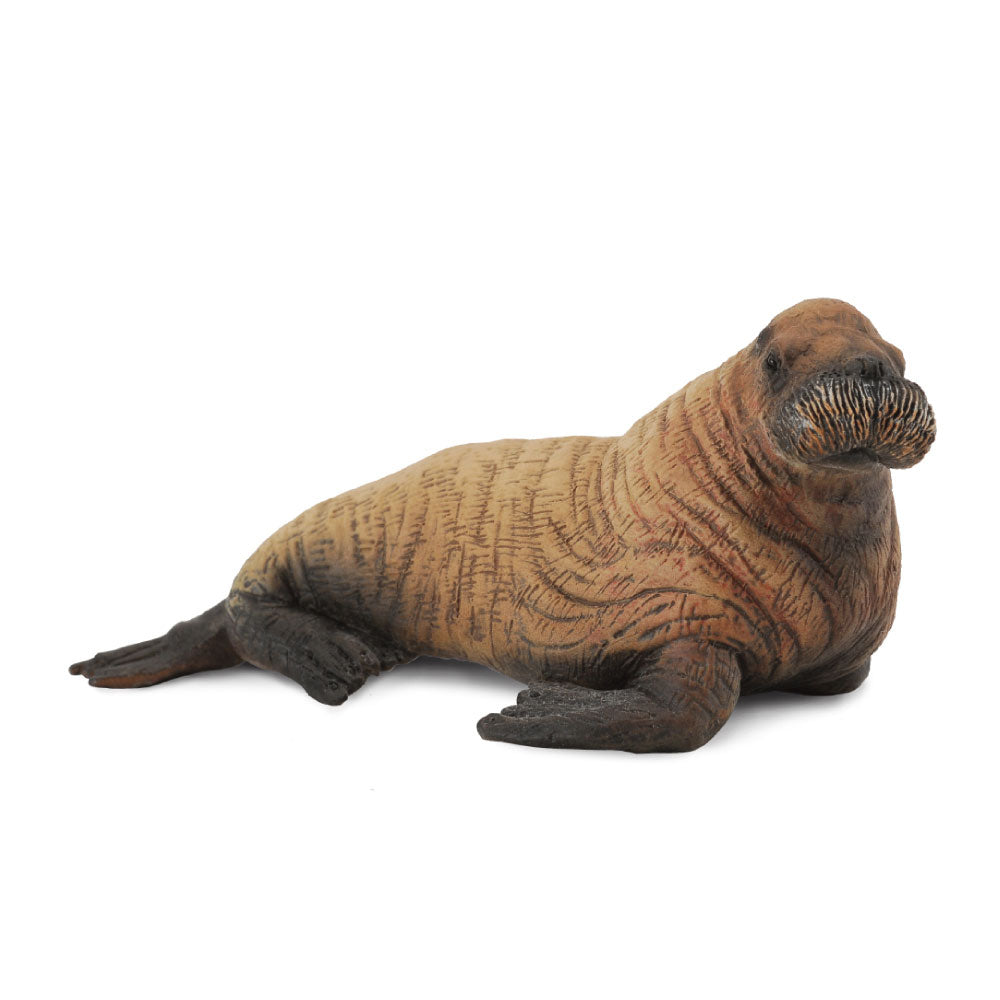 CollectA Walrus Calf Figure (Medium)
