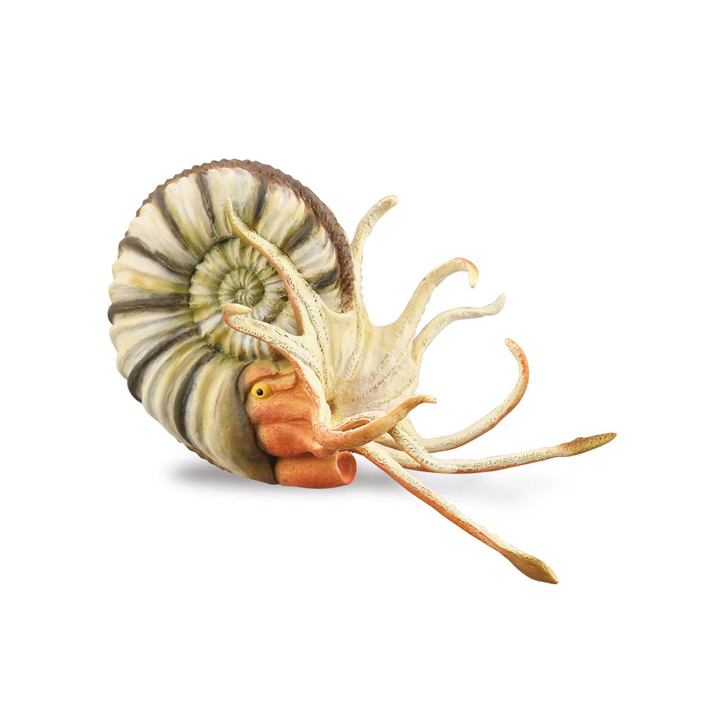 CollectA Pleuroceras Ammonite Figure (Extra Large)