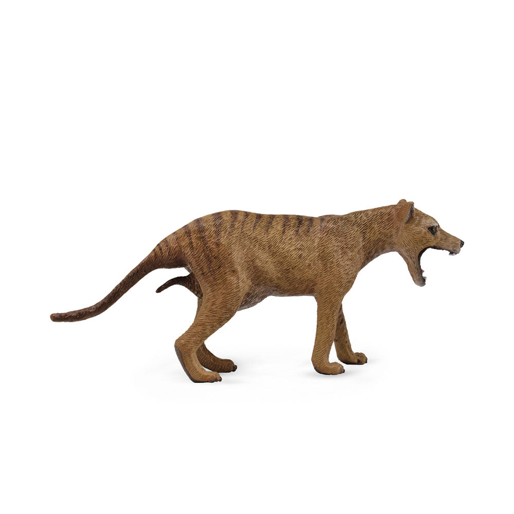 CollectA Thylacine Tasmanian Tiger Figure (Large)