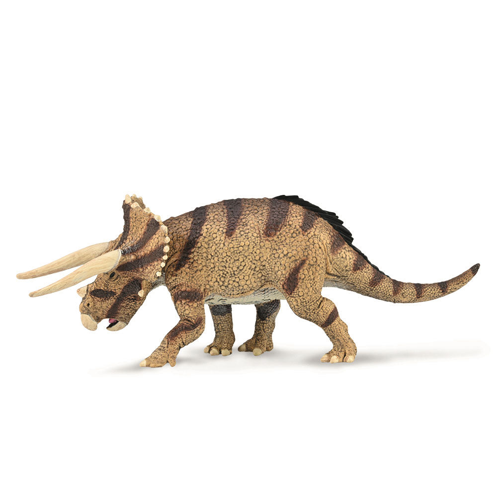 CollectA Confronting Triceratops Horridus Figure (Large)