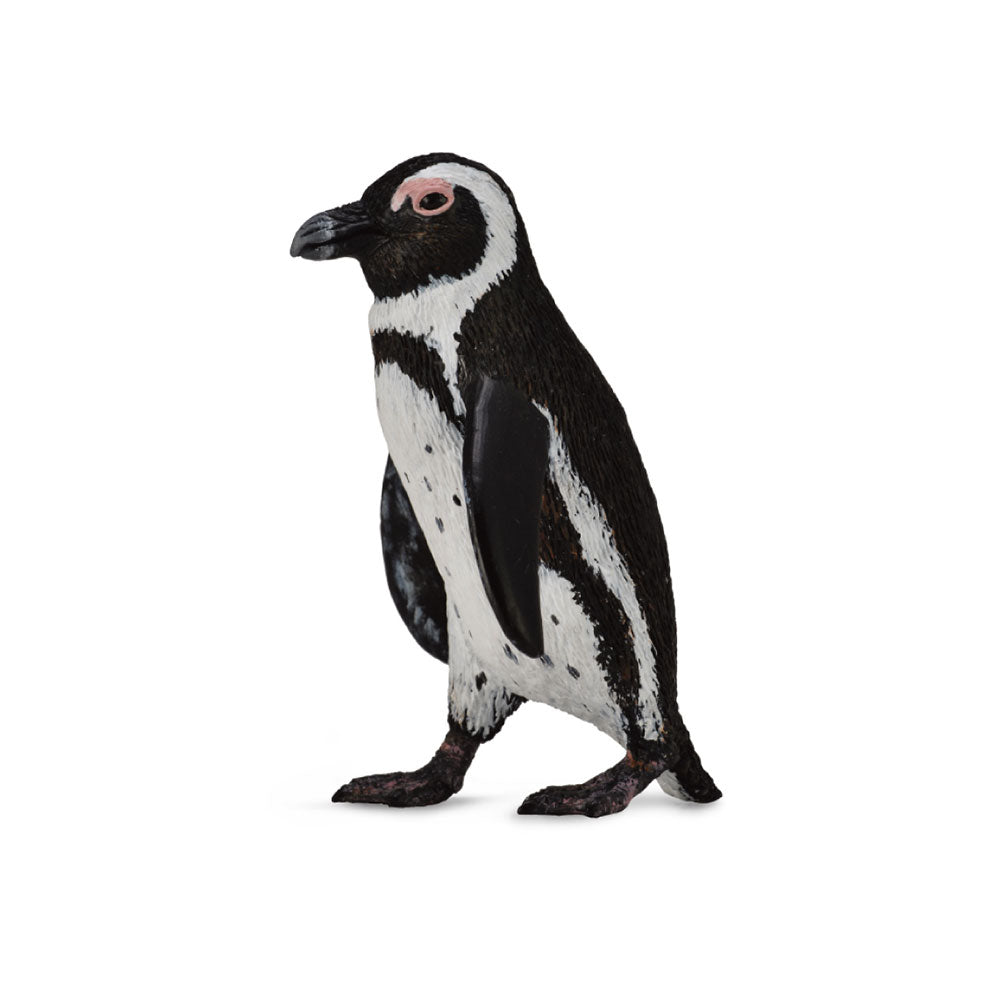 CollectA South African Penguin Figure (Small)