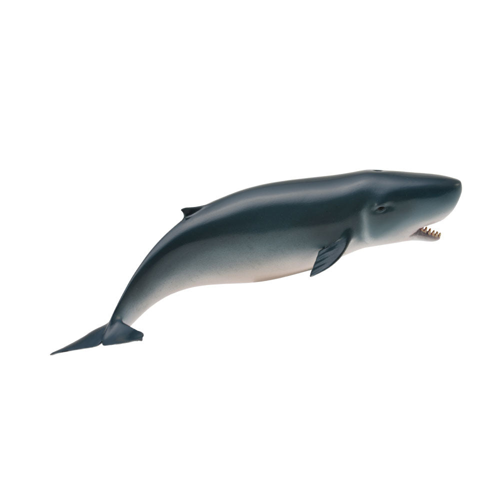 CollectA Pygmy Sperm Whale Figure (Medium)