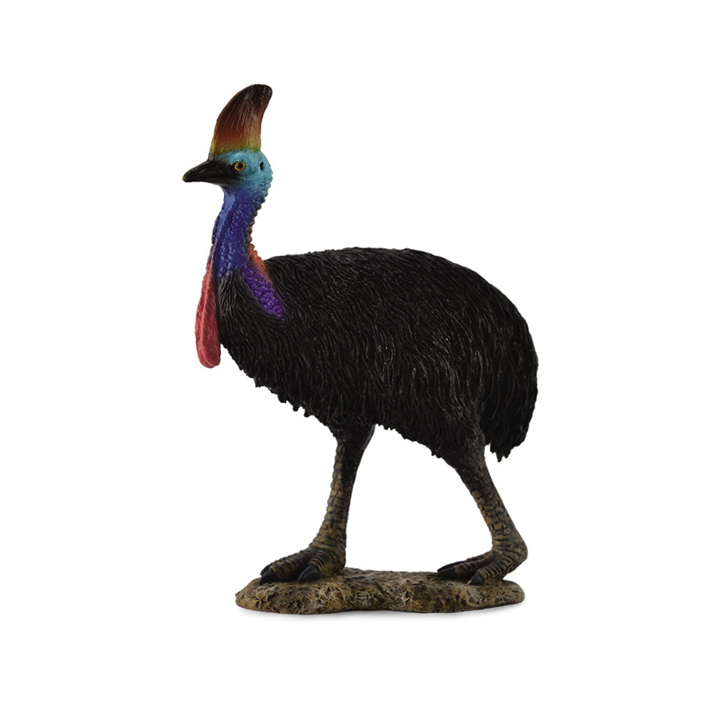 CollectA Southern Cassowary Figure (Large)