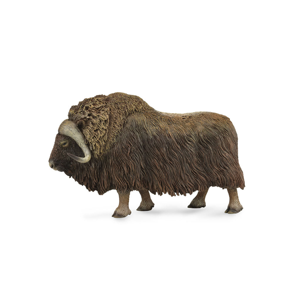 CollectA Musk Ox Figure (Large)