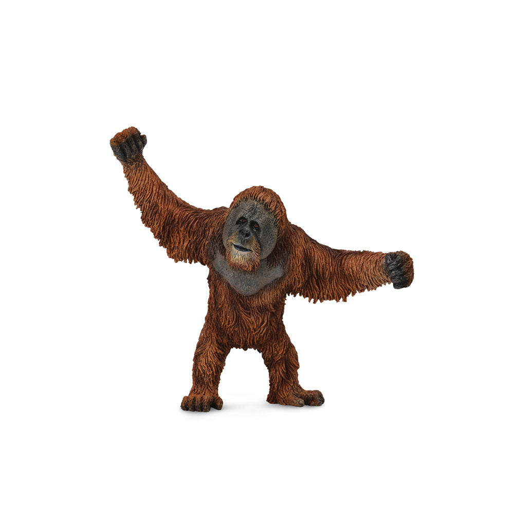 CollectA Orangutan Figure (Large)