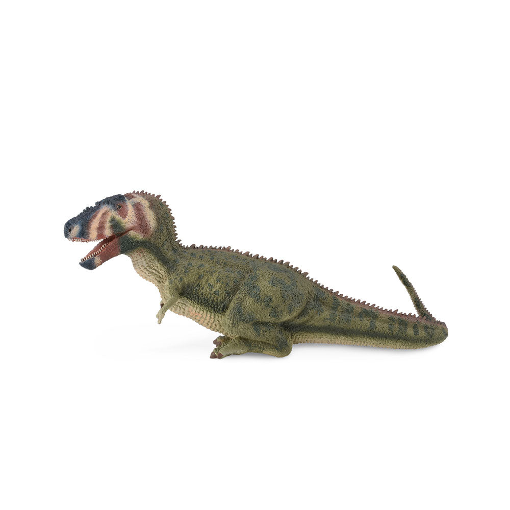 CollectA Daspletosaurus Dinosaur Figure (Large)