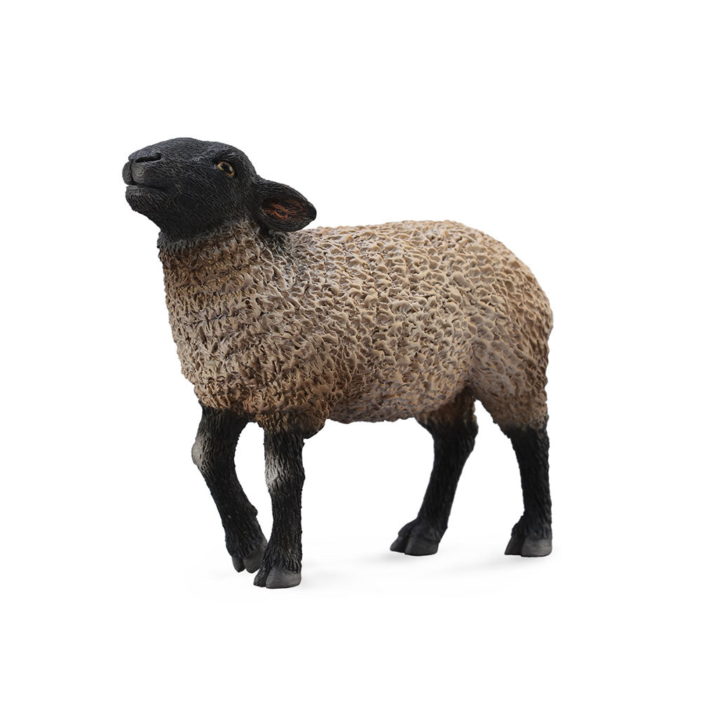 CollectA Suffolk Sheep Figure (Medium)