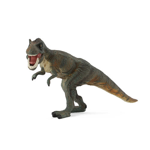 CollectA Tyrannosaurus Rex Dinosaur Figure (Large)