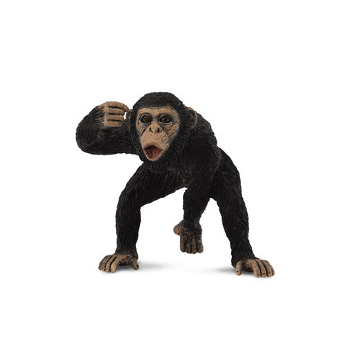 CollectA Chimpanzee Figure (Medium)