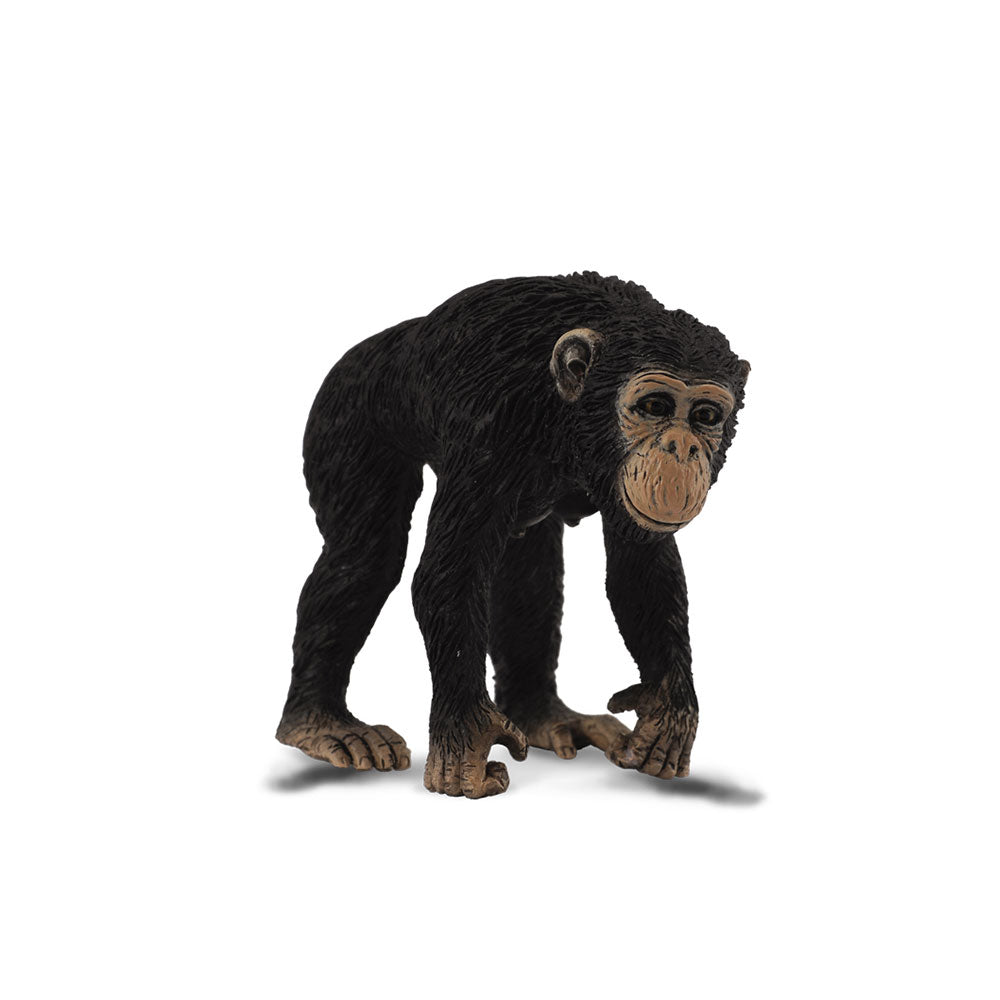 CollectA Schimpansenfigur (mittel)