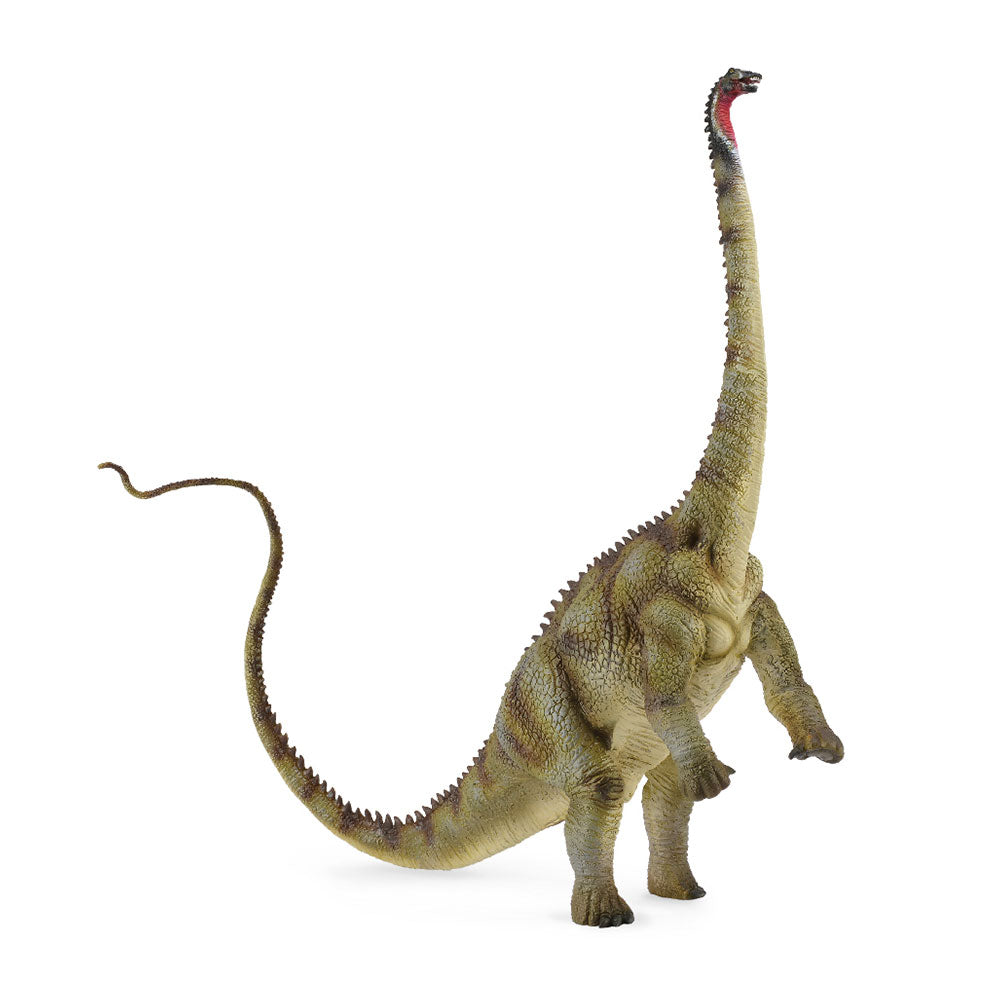 CollectA Diplodocus Dinosaurier-Figur (extra groß)