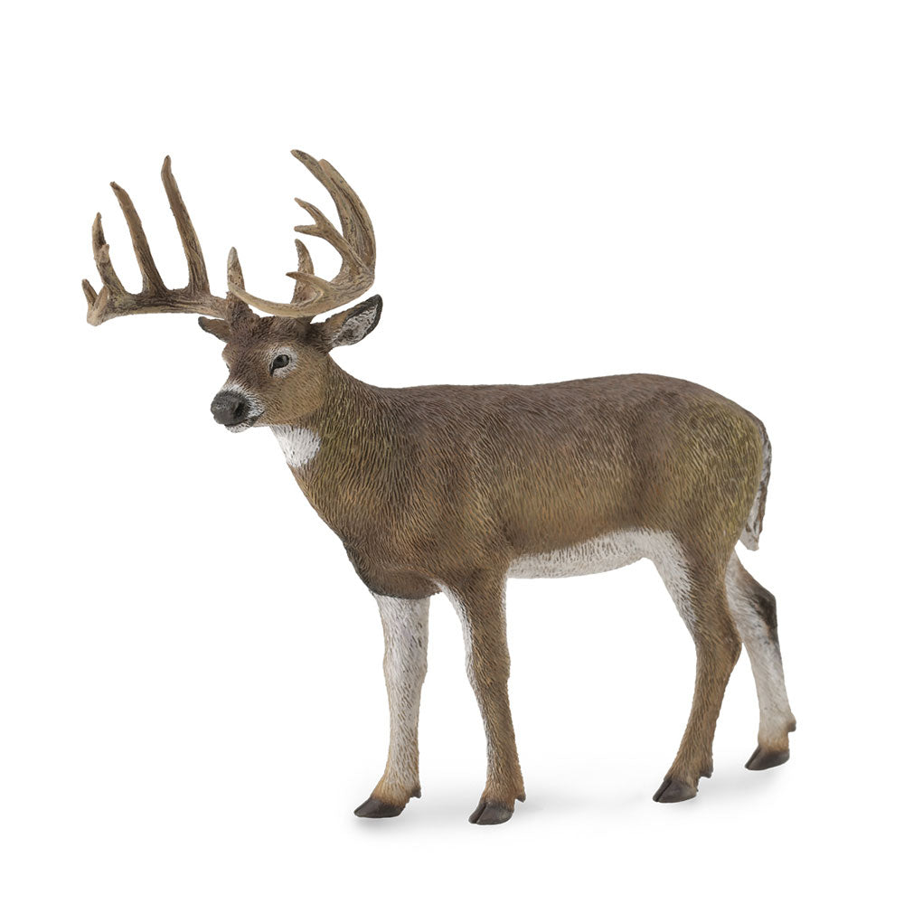 CollectA White-Tailed Deer Figure (Large)
