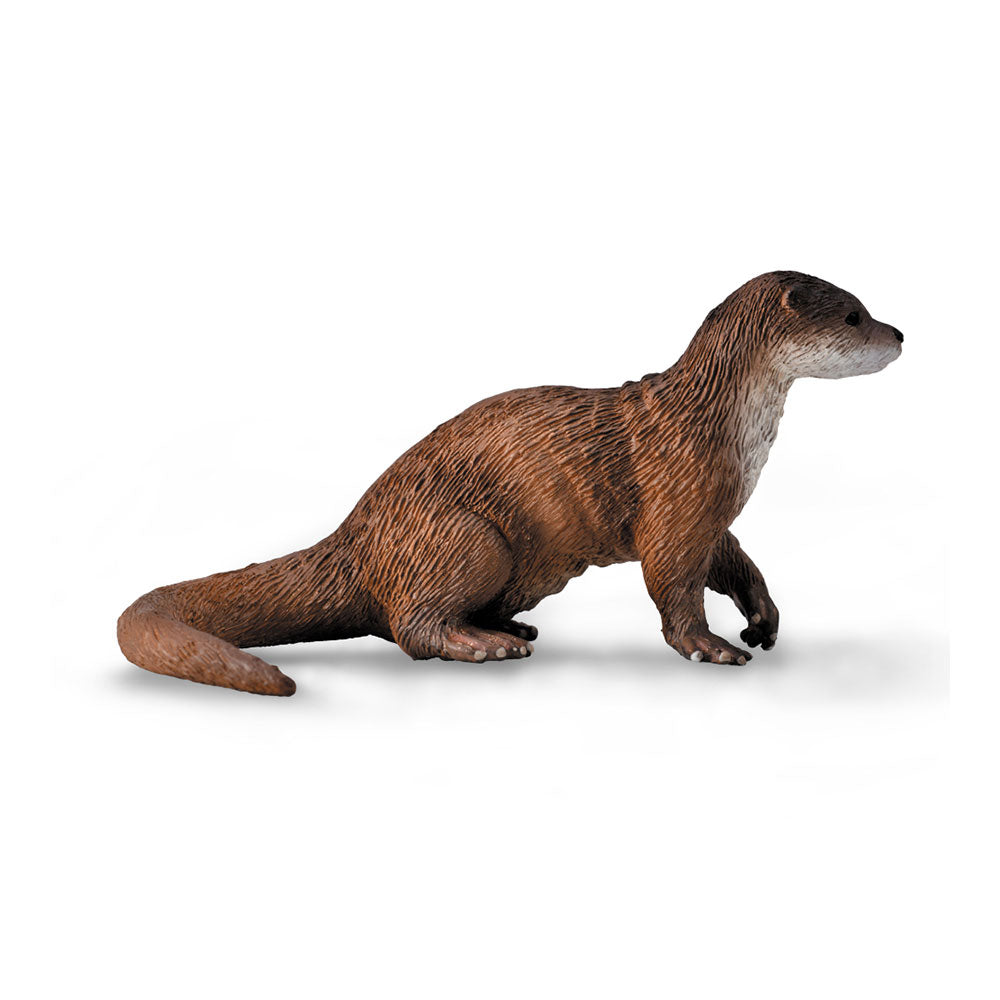 CollectA Common Otter Figure (Medium)