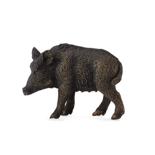 CollectA Wild Pig Figure (Medium)