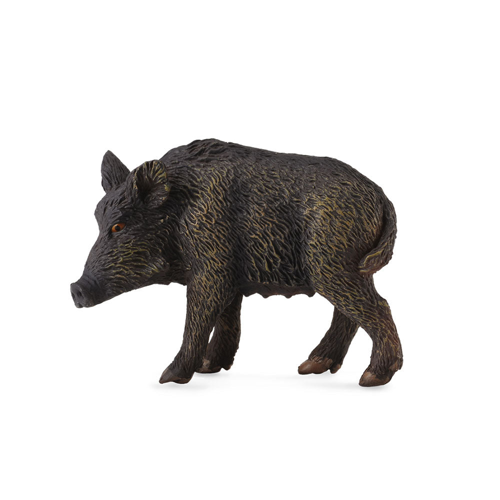  CollectA Wildschwein-Figur (mittel)