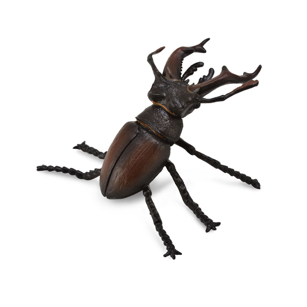 CollectA Stag Beetle Figure (Medium)