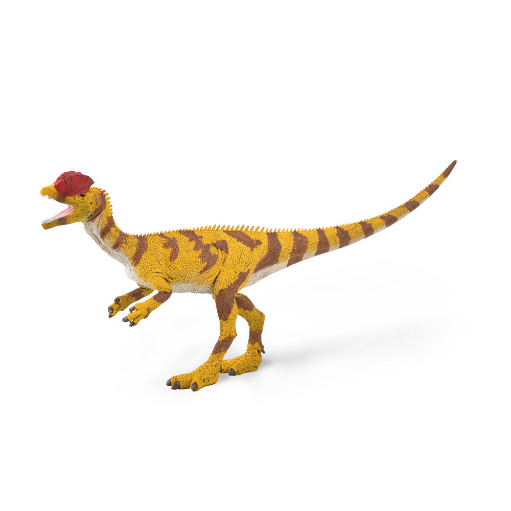 CollectA Dilophosaurus Dinosaur Figure (Large)