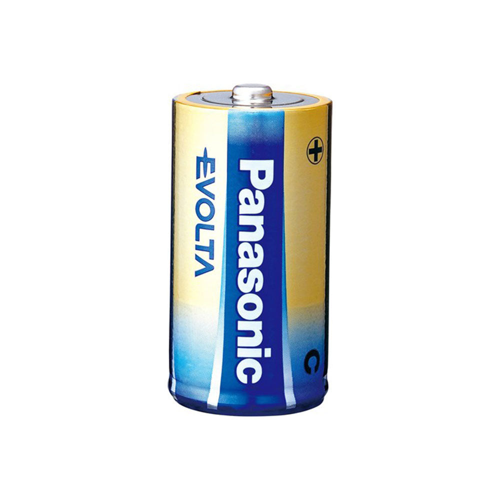 Panasonic Evolta Batteries 2pcs