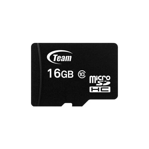 Team Class 10 Micro SDHC Memory Card