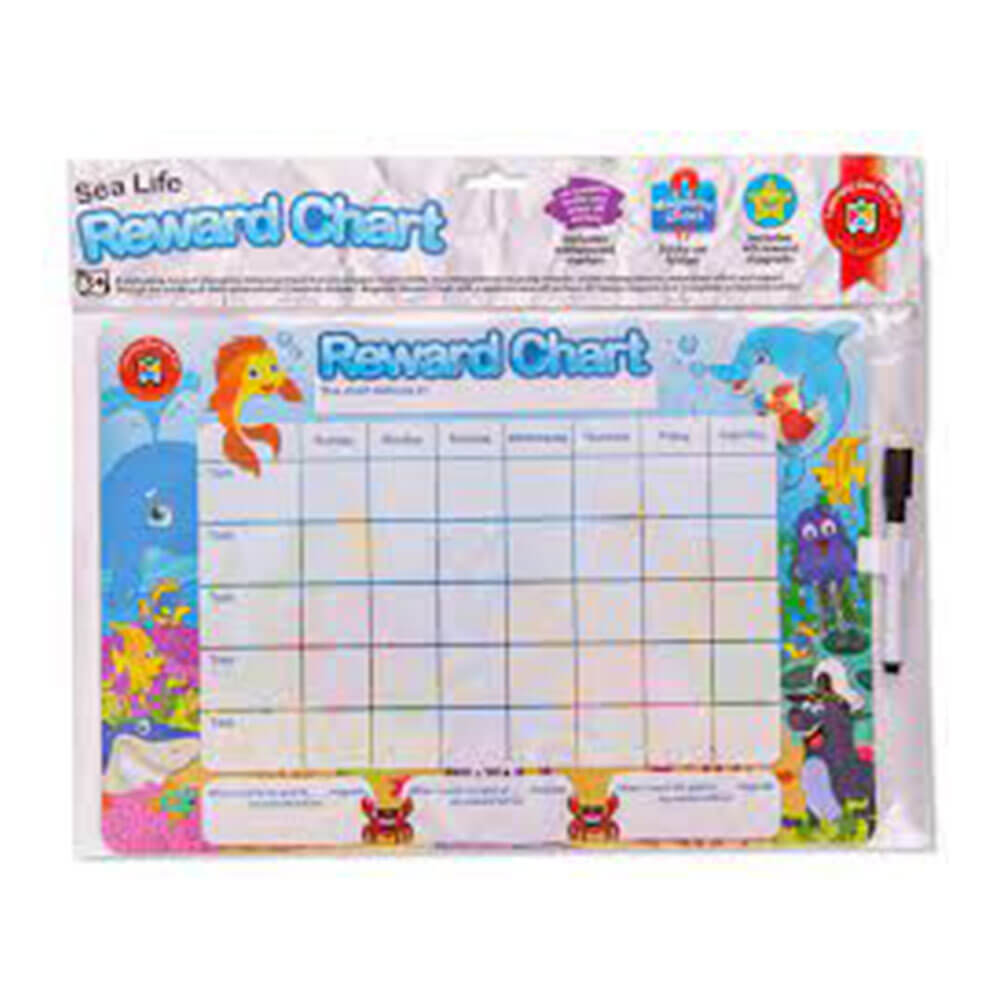 Learning Can Be Fun Magnetic Reward Chart