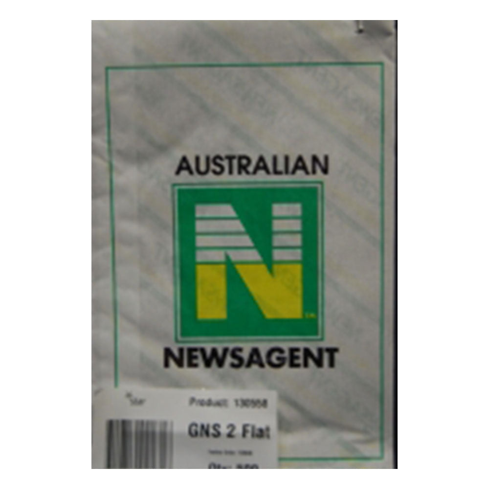 Newsagent No. 2 Paper Bag 500pk (165x240mm)