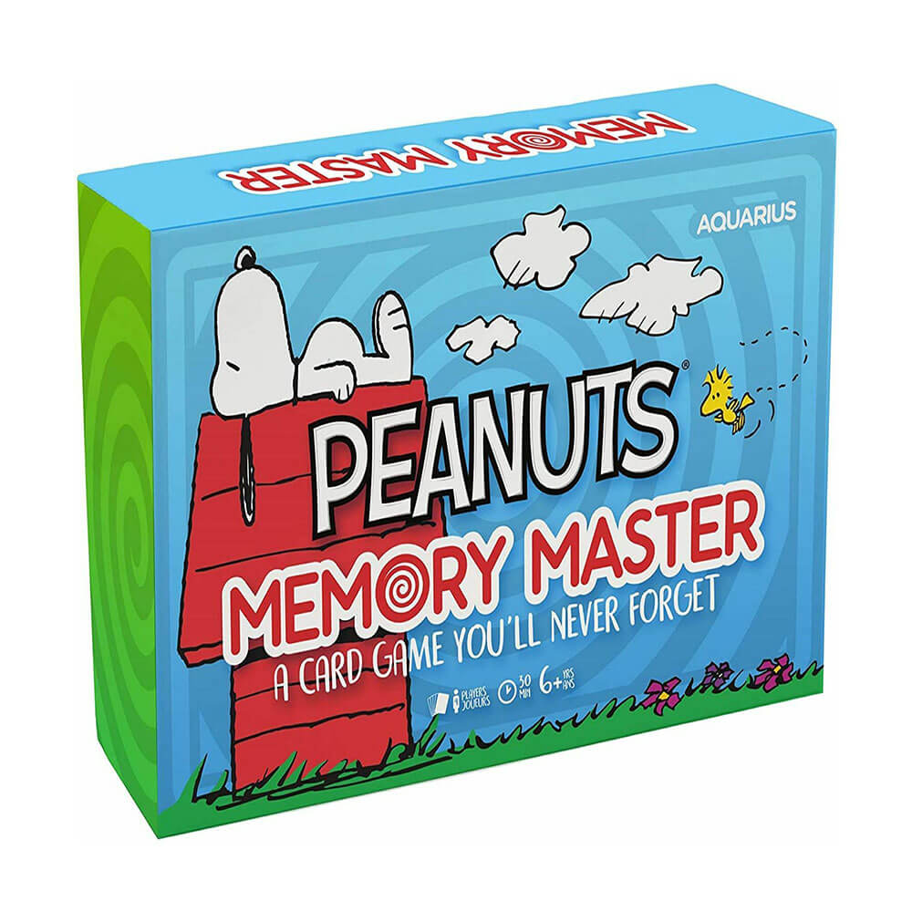  Aquarius Memory Master Kartenspiel