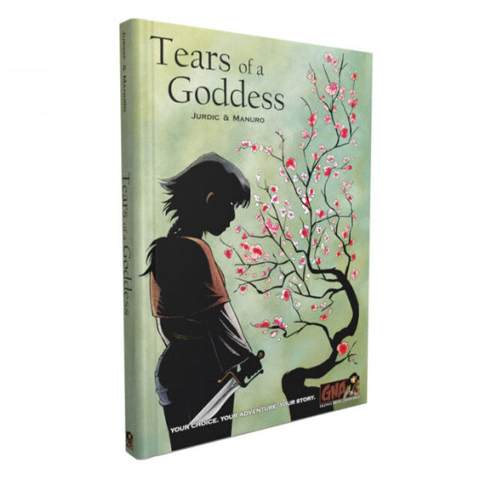 Graphic Novel Adventures Tears of a Goddess Puzzle Game
