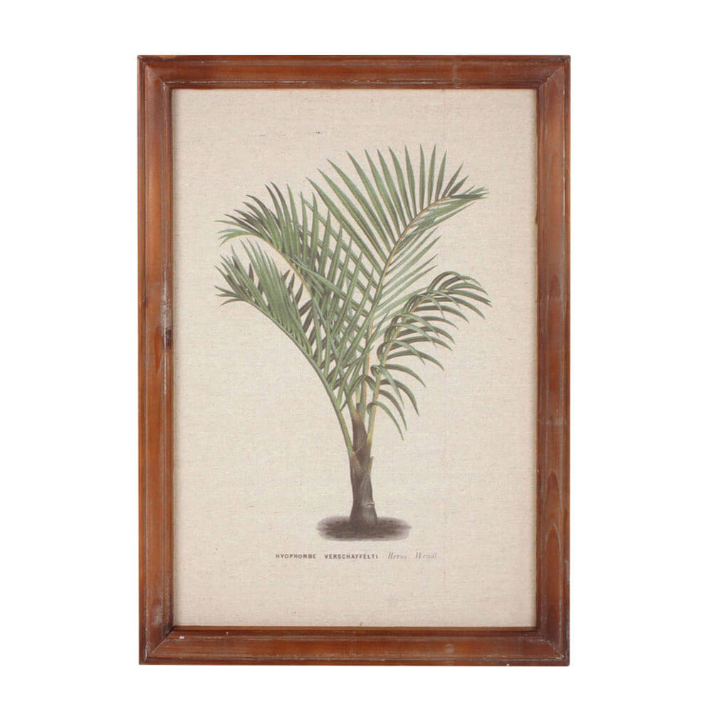 Framed Vintage Palm Wall Art (38x52x1.8cm)