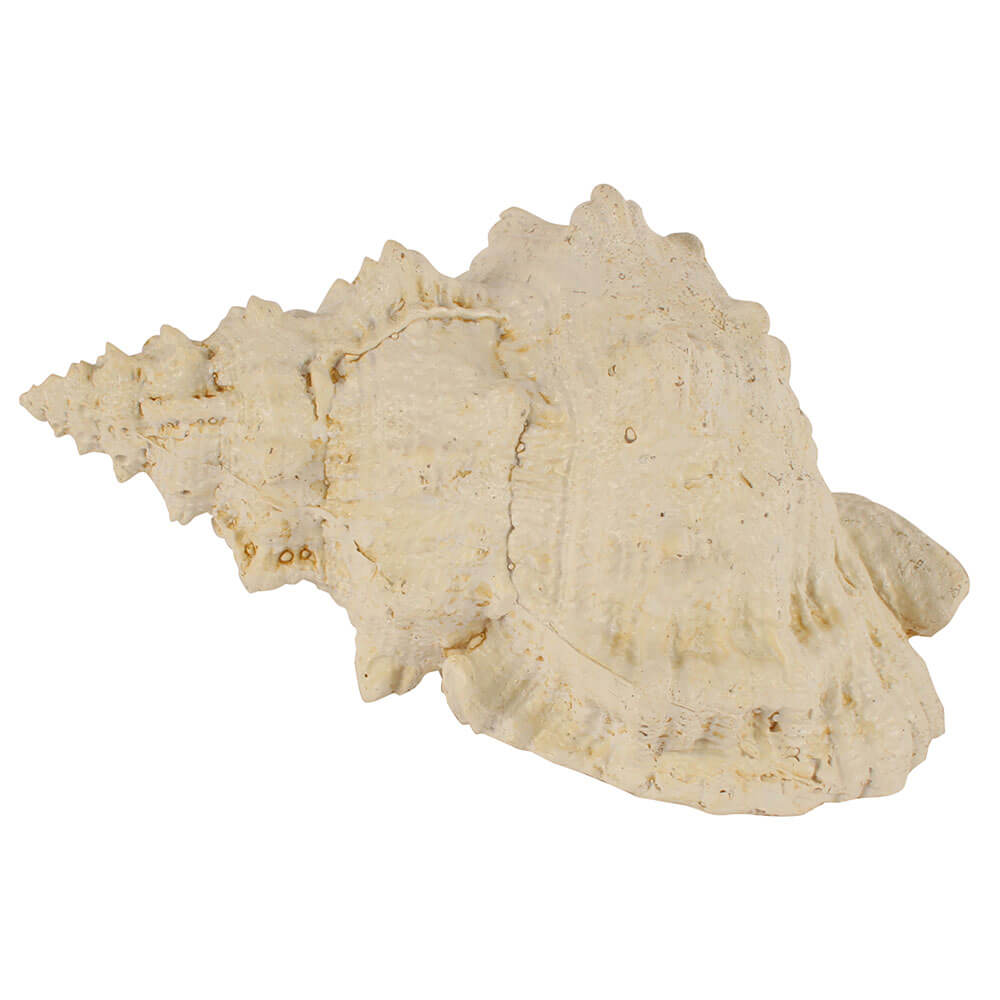 Faux Giant Resin Conch Shell (24x14x13cm)