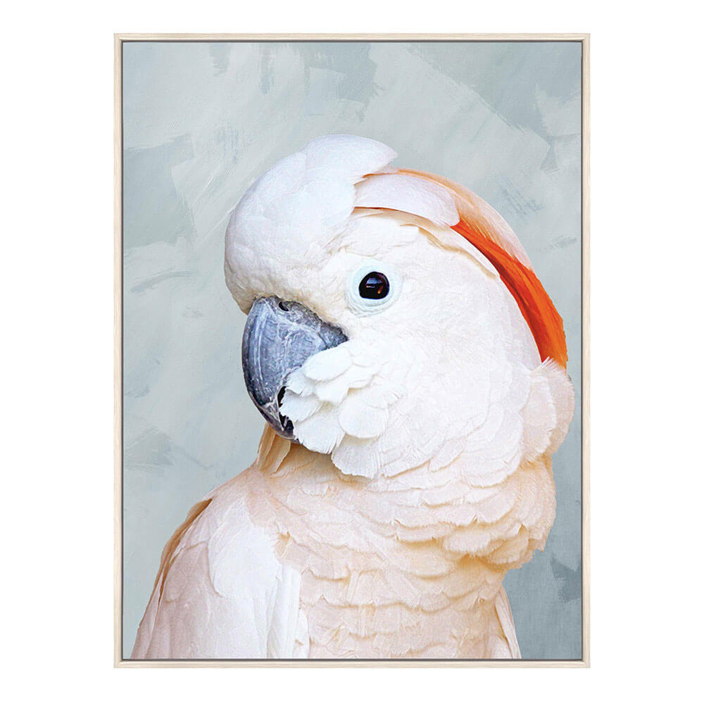 Rose Cockatoo Canvas with Hanging Frame (80x60x5cm)