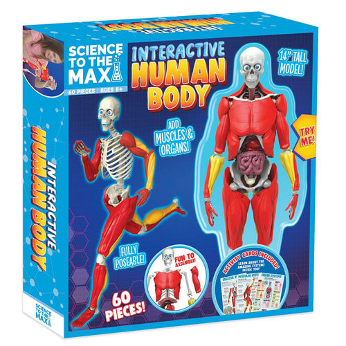 Interactive Human Body Science Toy
