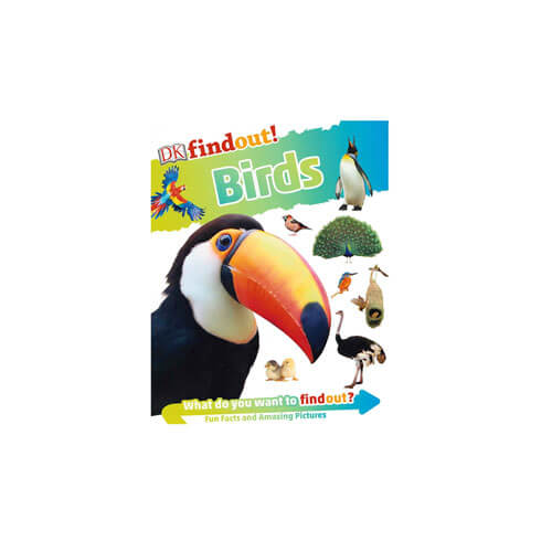 DK Findout! Educational Book