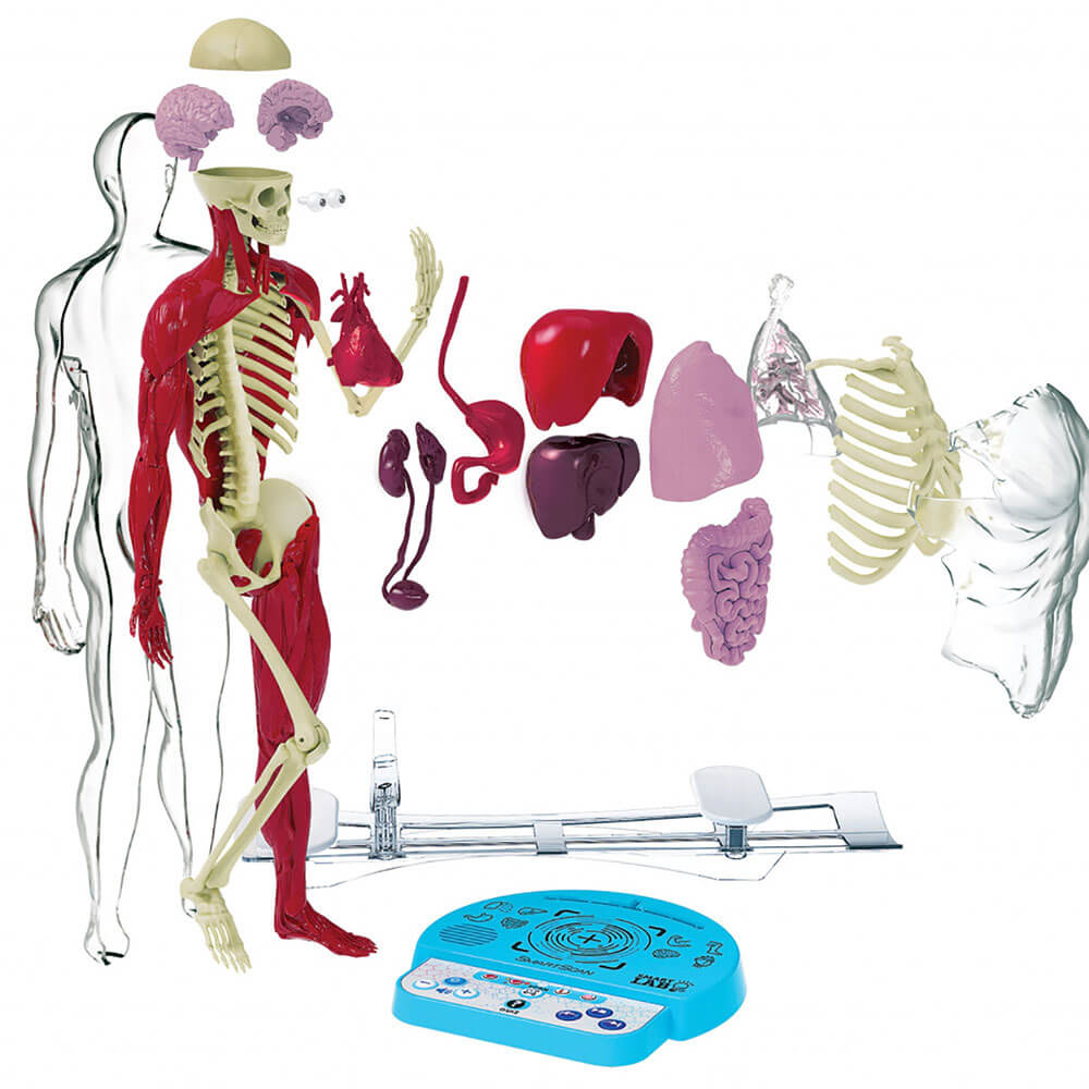Ultimate Squishy Human Body Lab with SmartScan Technology