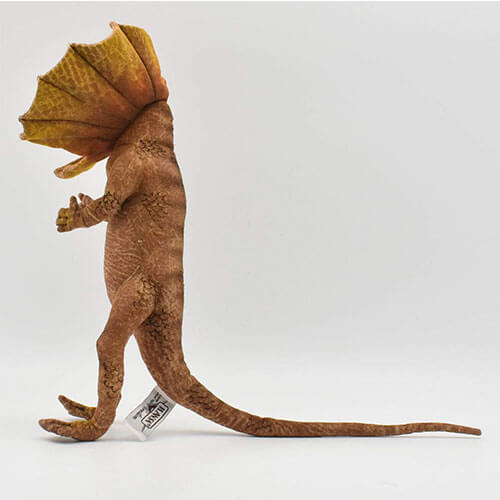 Hansa Frilled Neck Lizard (40cm)