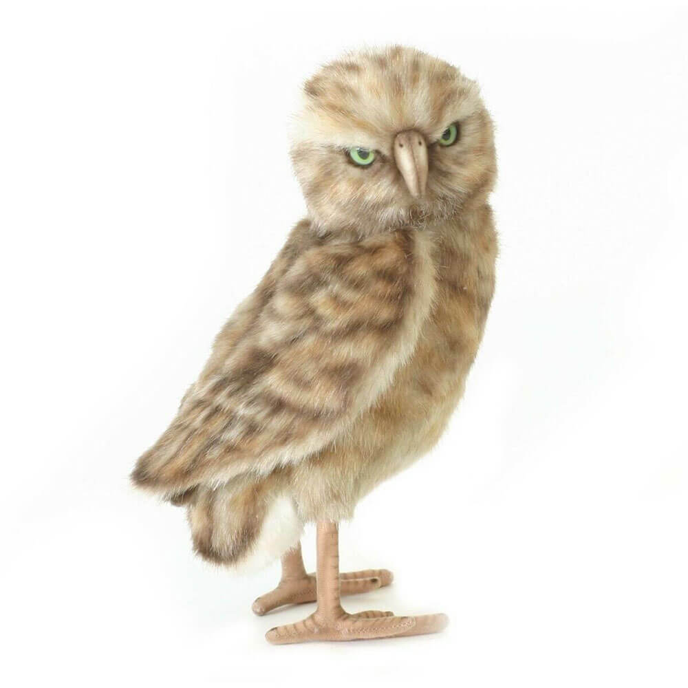 Hansa Burrowing Owl (28cm H)