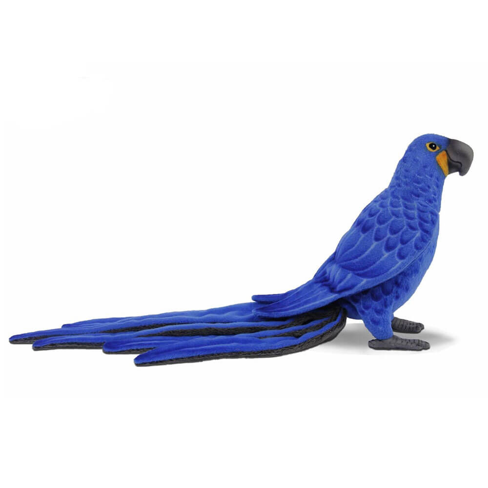 Hansa Hyacinth Macaw (50cm L)