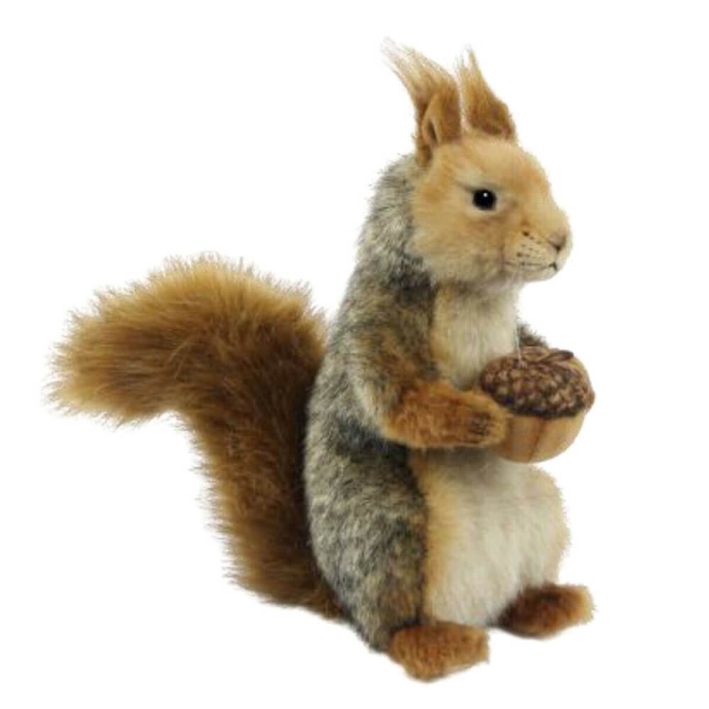 Hansa siddende grå egern (25 cm l)