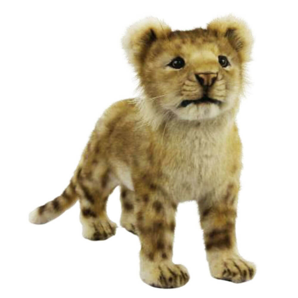 Cucciolo di leone in piedi Hansa (40 cm l)