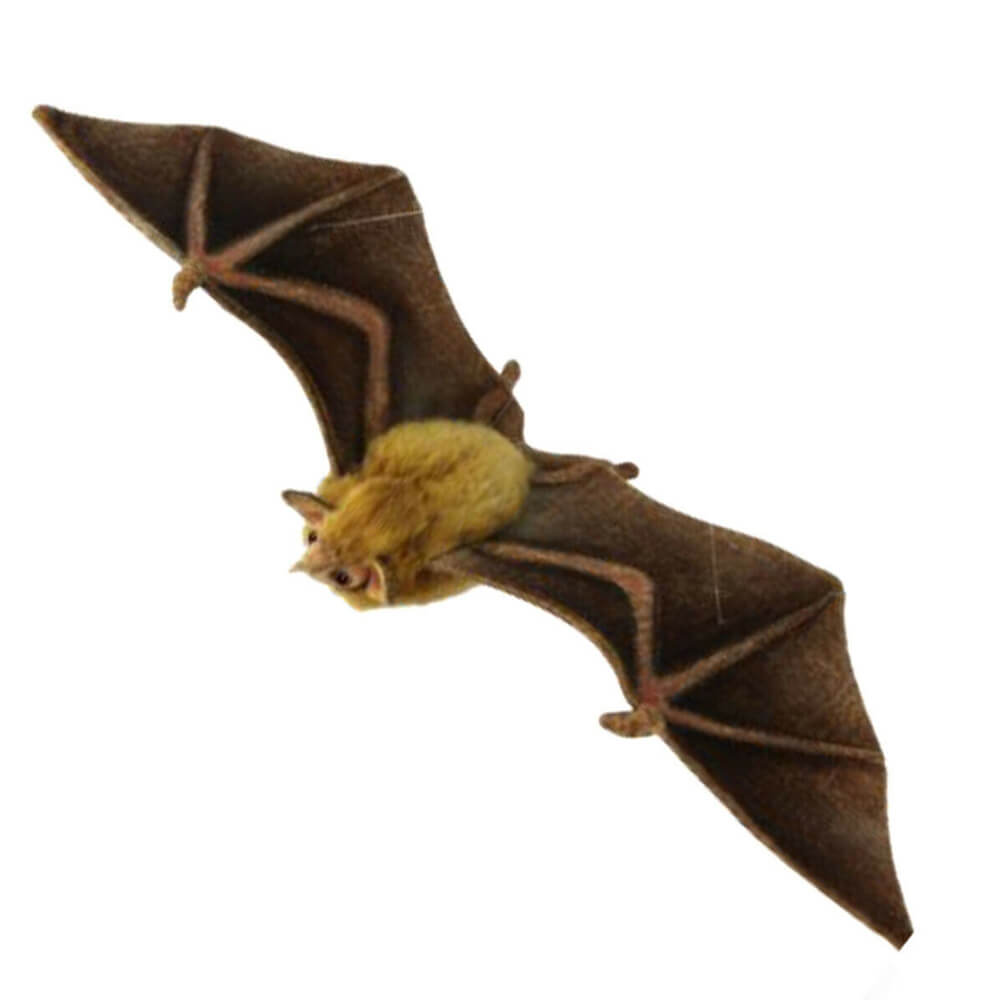 Hansa Orange Nectar Bat (42cm W)