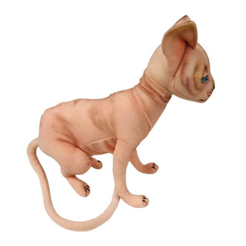Chat sphynx assis (33cm h)