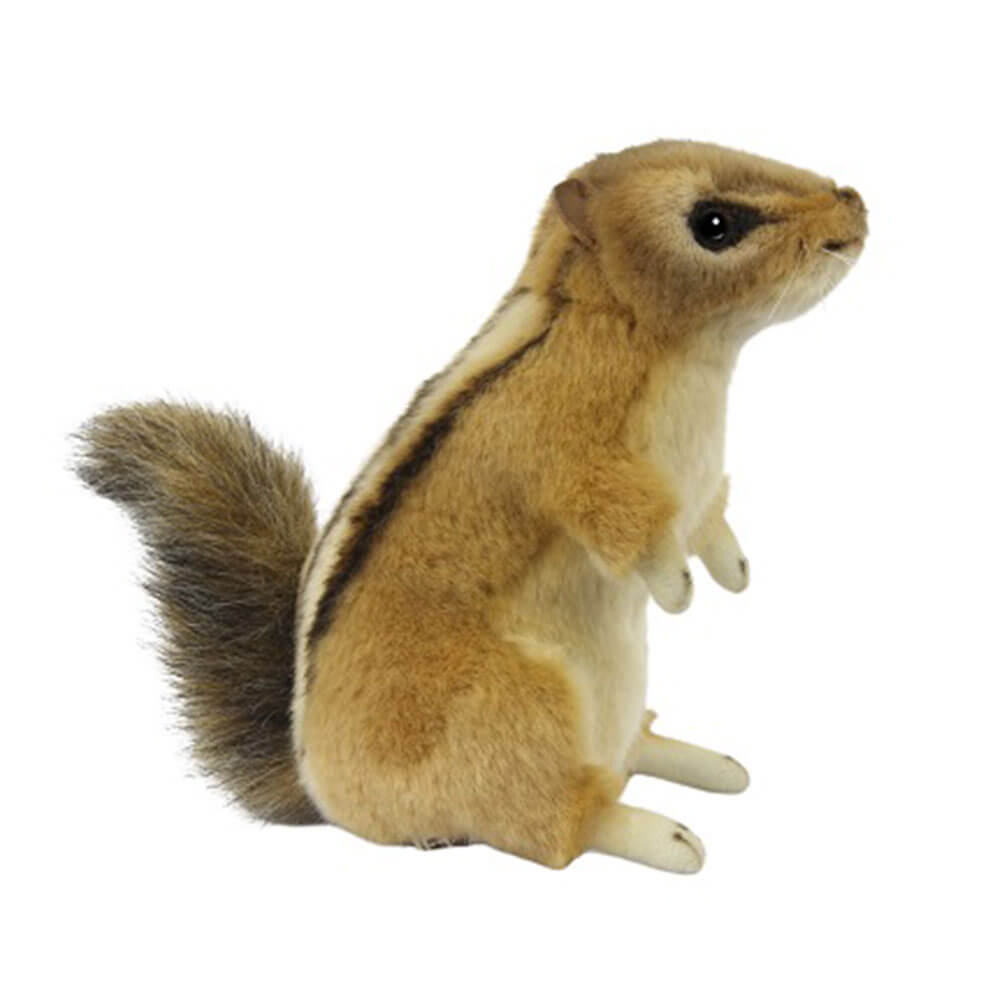 Streifenhörnchen-Plüschtier (8 cm breit)